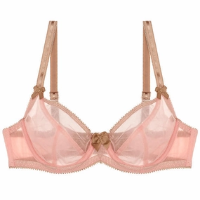 Dessous Mesh Bra