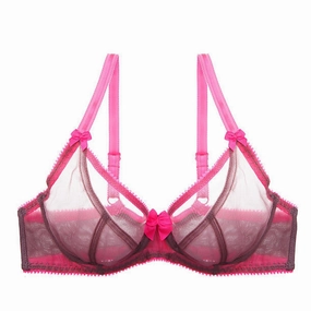 Dessous Mesh Bra