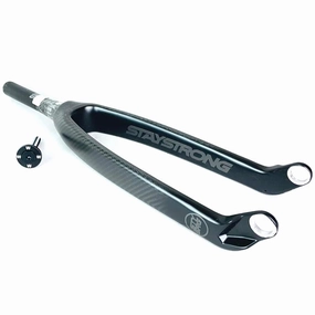 Stay Strong X Avian Versus Carbon Cruiser 24 Race Forks